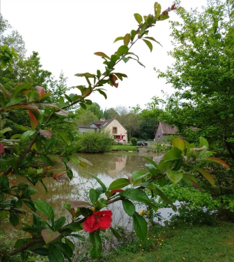 Villa 24H Le Mans - Les Haies Gite, Near Le Mans Circuit Coulans-sur-Gée Exterior foto